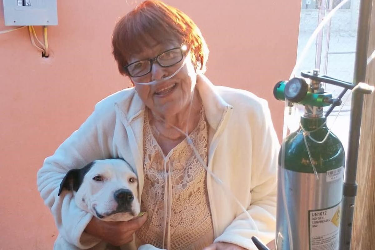Refugio animal pide apoyo para poder continuar con rescate de perros callejeros en San Luis Río Colorado