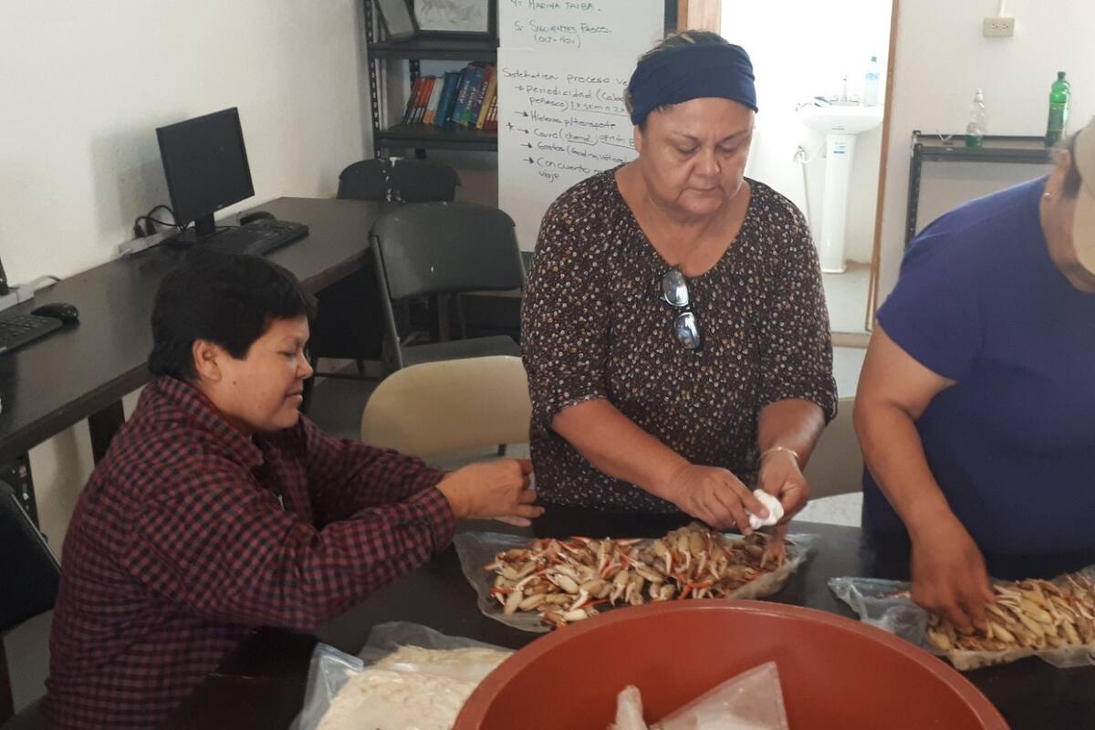 Mujeres del Desierto y Mar buscan consolidar desmenuzadora de jaiba