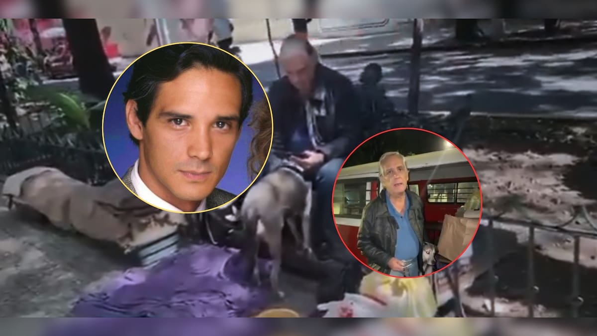 Alejandro Landero, actor de Televisa conocido por su papel en “Rosa Salvaje”, fue localizado en situación de calle junto a sus mascotas y vecinos piden ayudarlo (VIDEO)