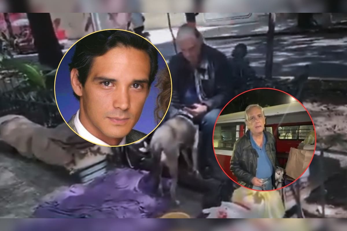Alejandro Landero, actor de Televisa conocido por su papel en “Rosa Salvaje”, fue localizado en situación de calle junto a sus mascotas y vecinos piden ayudarlo (VIDEO)