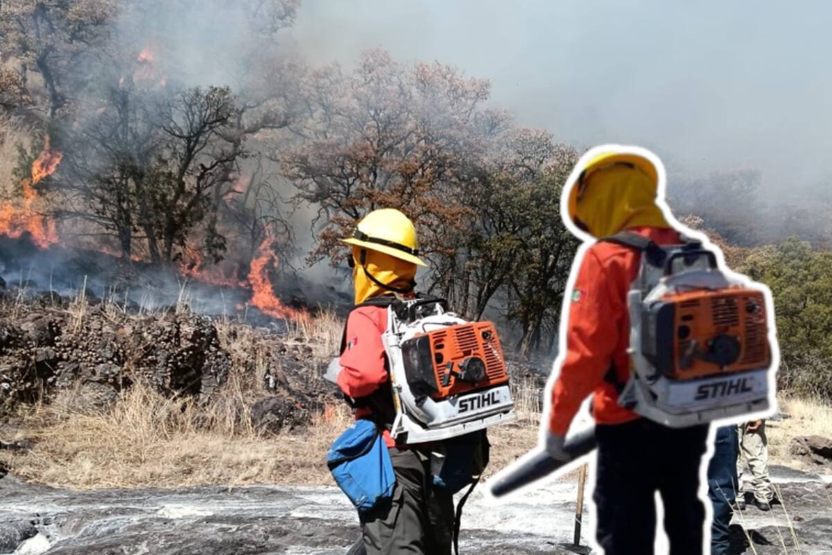 Liquidan en su totalidad incendio forestal en Yécora tras cinco días de combate