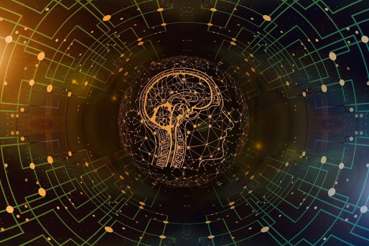 Estudio dice que las personas obsesionadas con celebridades son menos inteligentes