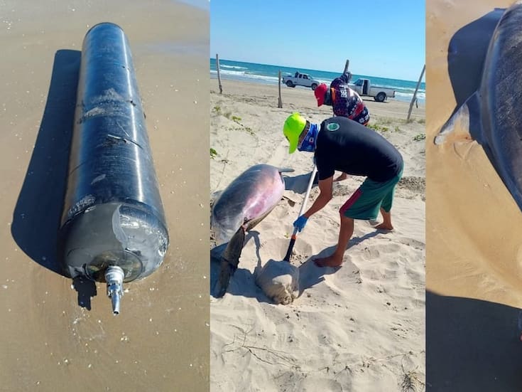 Denuncian contaminación en Tamaulipas tras lanzamiento del cohete Starship 11 de SpaceX: hallan delfines muertos y restos espaciales