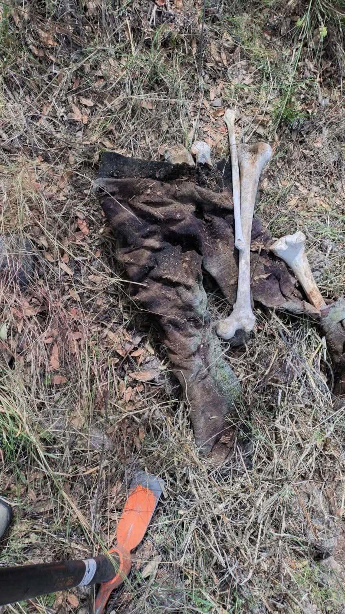 Foto: Manuel Jiménez.