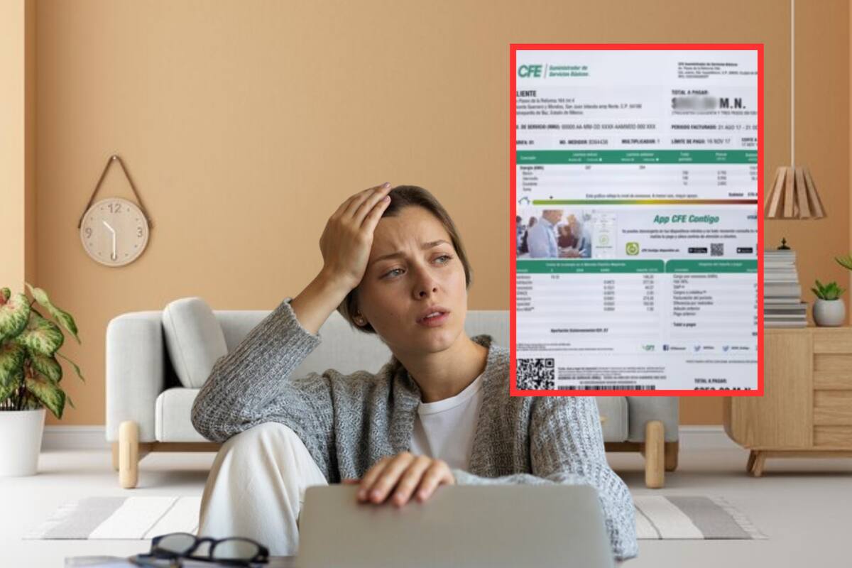 ¿El recibo de la luz te llegó más caro? Este aparato es el responsable del alto consumo en tu hogar