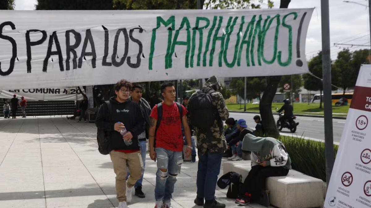Espacios de consumo tolerado de cannabis en la Ciudad de México enfrentan incertidumbre y hostigamiento policial