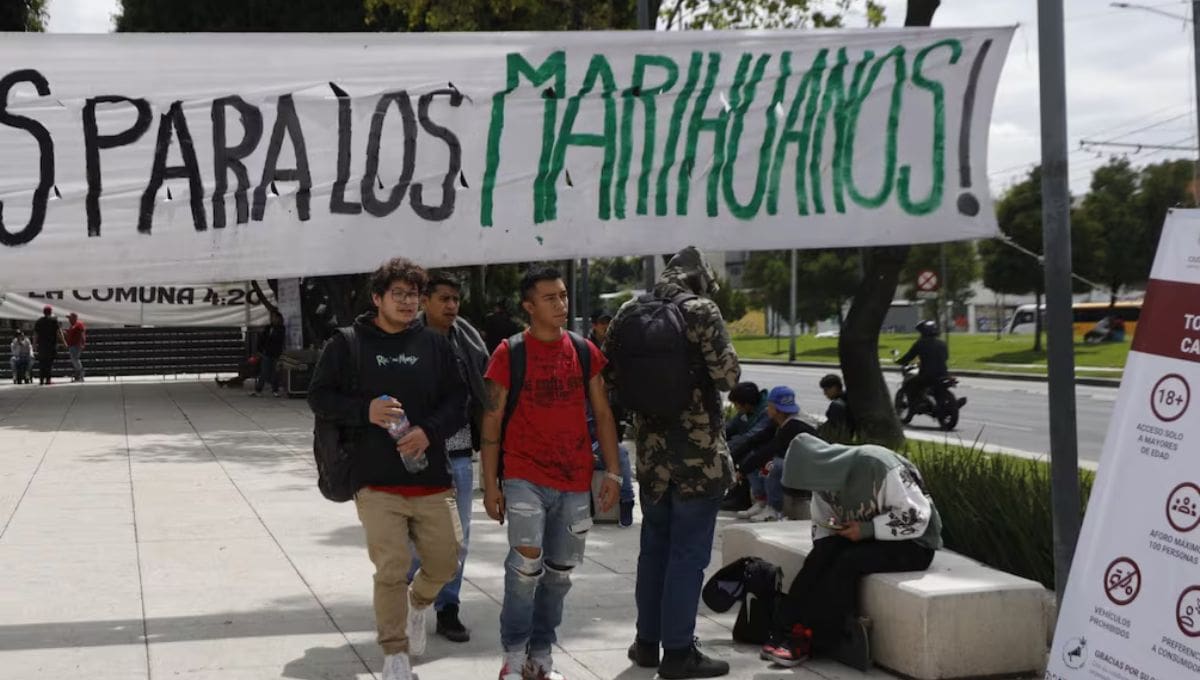 En una semana, las autoridades capitalinas decidirán si la Plaza de la Concepción seguirá siendo zona de consumo de marihuana o si los colectivos serán reubicados.