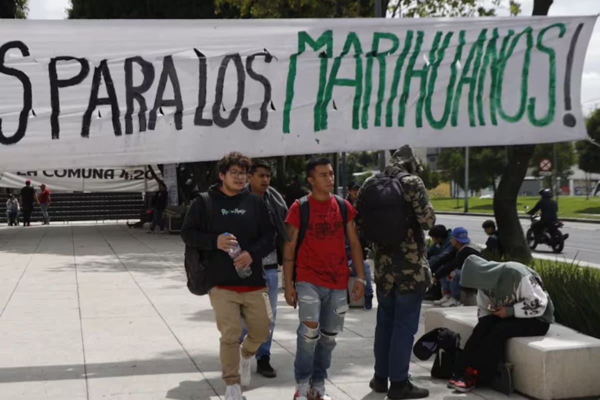 Espacios de consumo tolerado de cannabis en la Ciudad de México enfrentan incertidumbre y hostigamiento policial