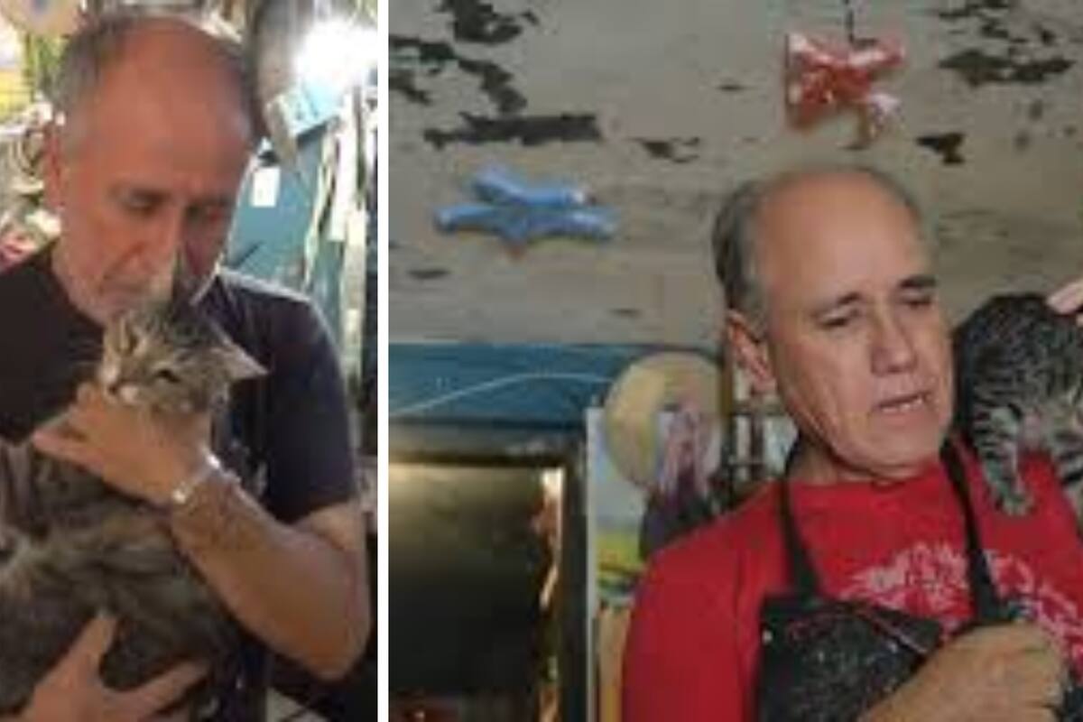 Rescatista de gatos “Don Gato” en cama tras amputación; así podemos ayudarle