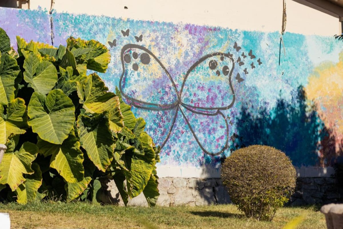 Posada del Buen Samaritano convoca a voluntarios para jornada de jardinería y manualidades este 21 de febrero