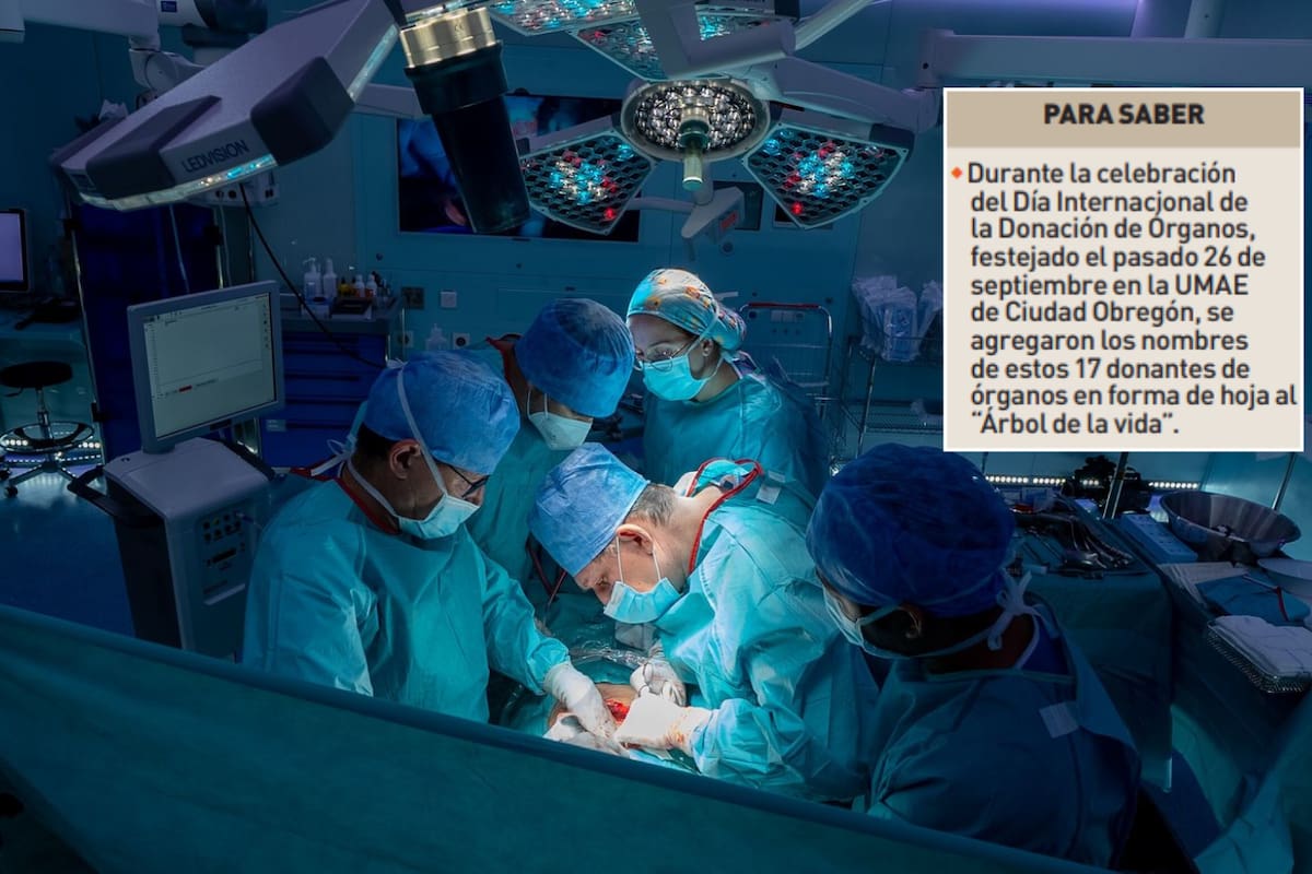 Reciben 17 donantes de órganos este año en IMSS Cajeme