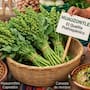 ¿Qué es el huauzontle? El quelite mexicano con grandes beneficios para la salud