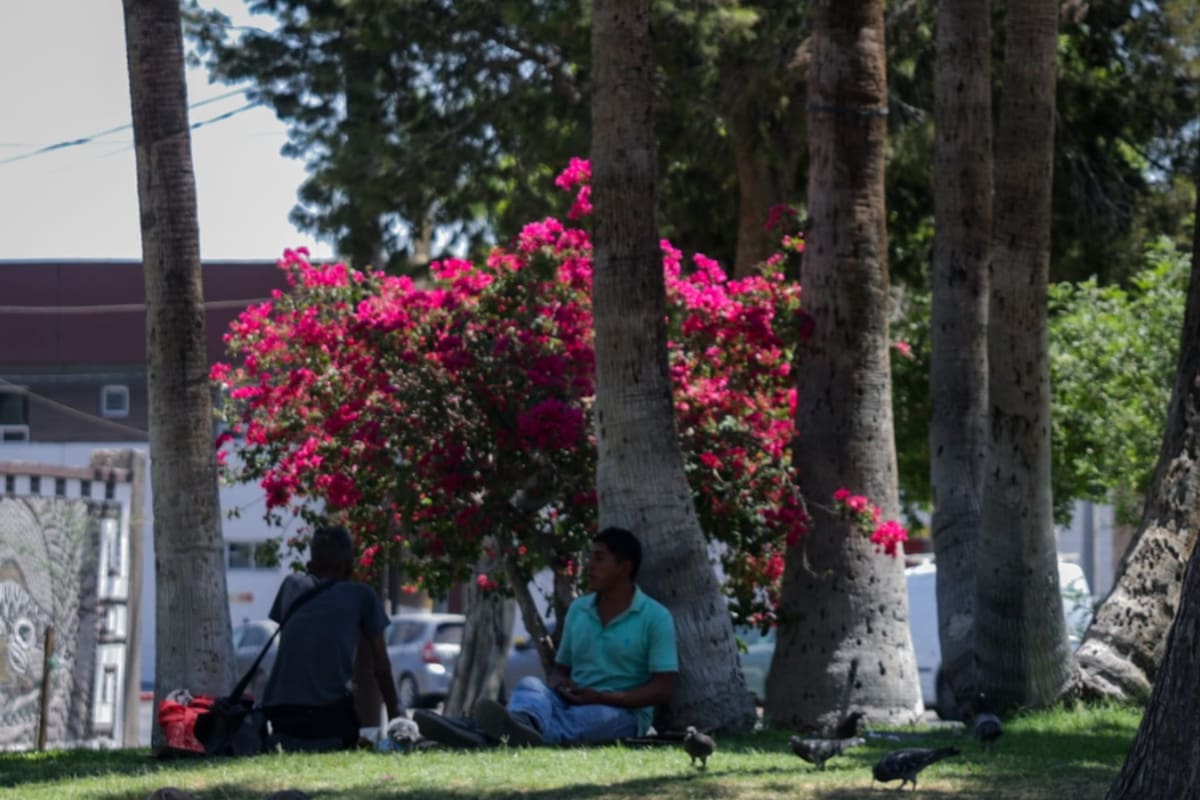 Calor cobra tercera vida en Mexicali; fallece hombre por golpe de calor en Hacienda de Castilla
