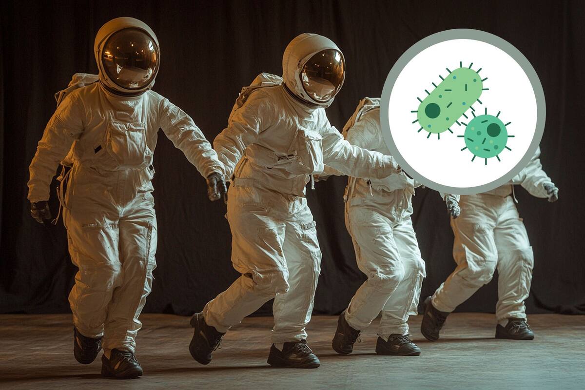 Nueva cepa bacteriana descubierta por científicos chinos en la estación espacial Tiangong