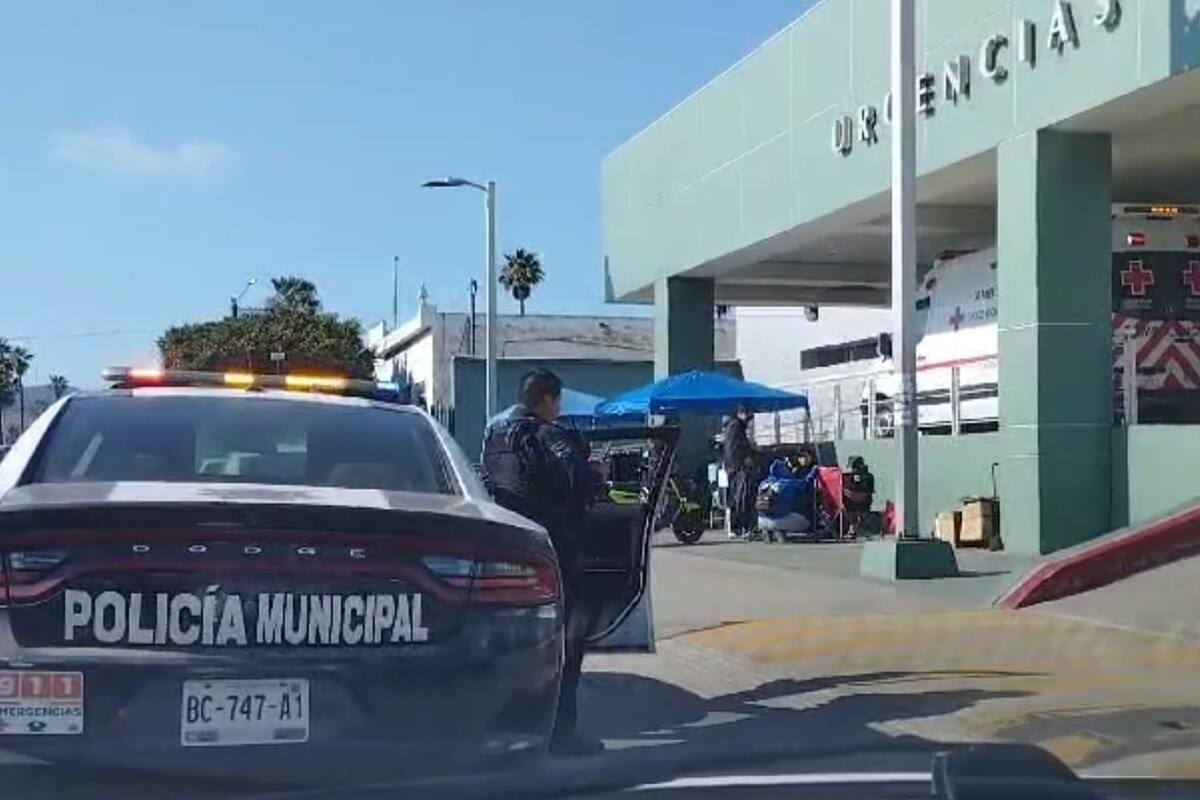 Mujer de la tercera edad es atacada por sus perros