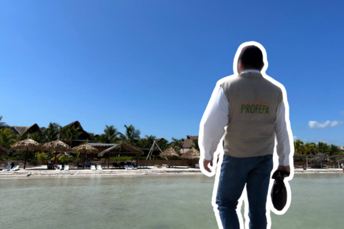Profepa lanza operativo nacional en playas y ecosistemas costeros de 17 estados