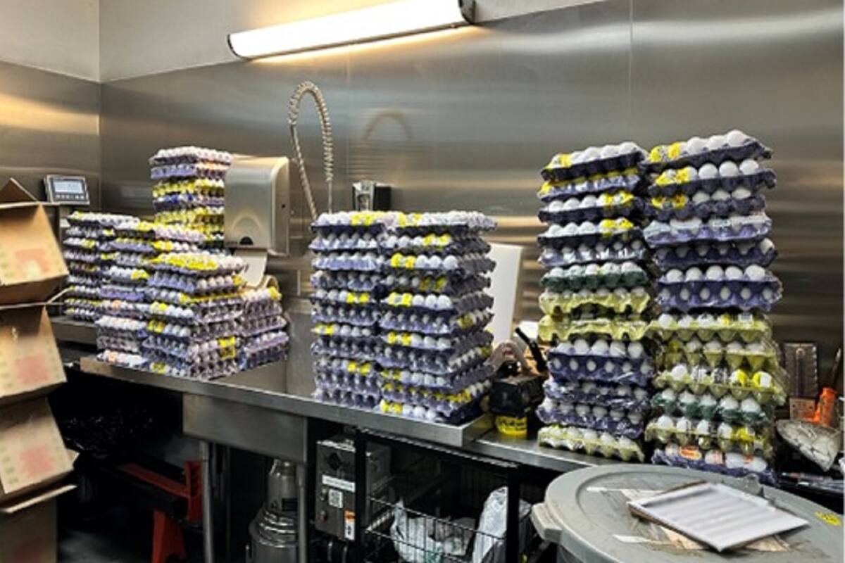 Aumentan 158% decomisos de huevo en las garitas de San Diego