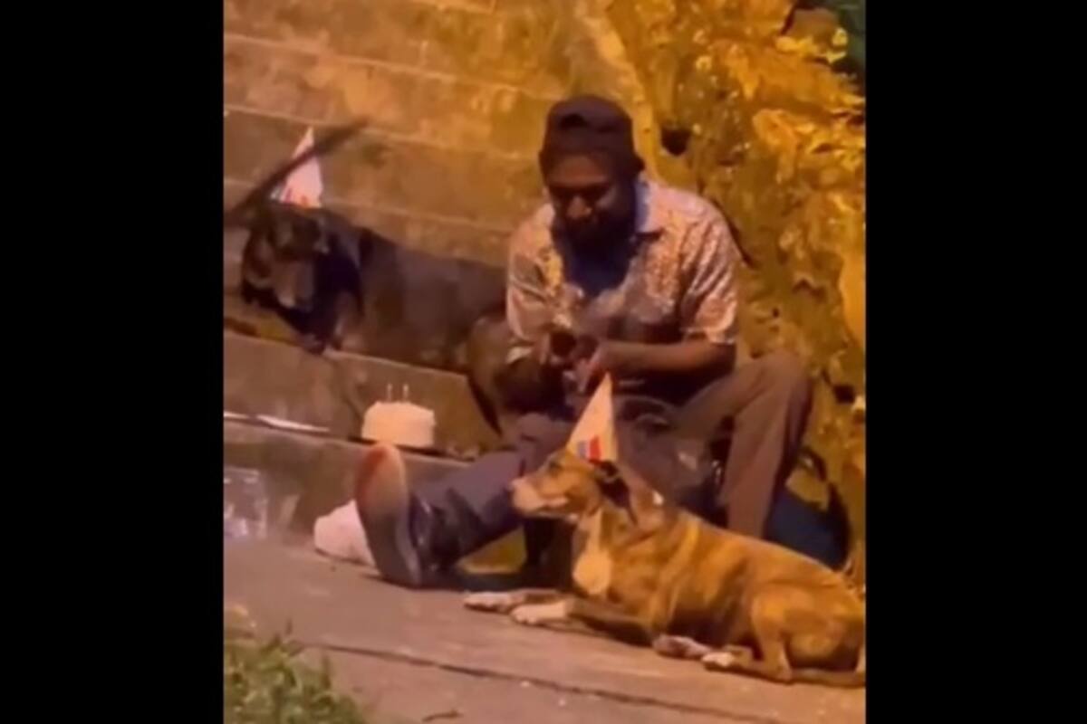 Hombre sin hogar celebra cumpleaños de sus perritos