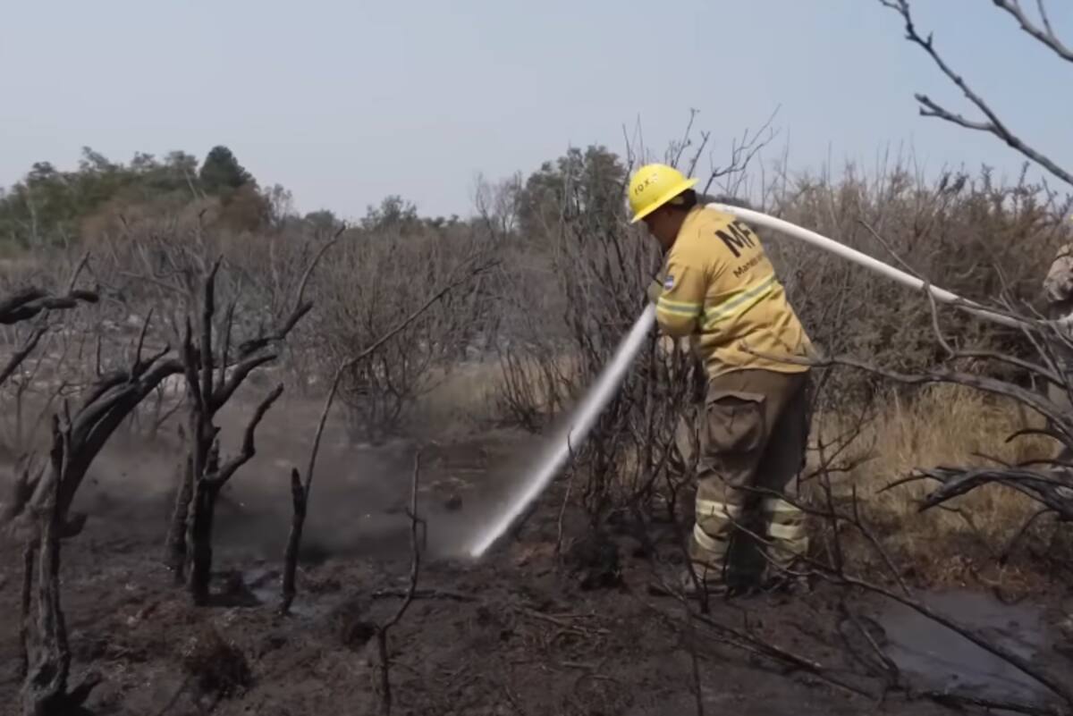 Bomberos hacen intentos desesperados por evitar que el fuego se propague. /  DW Español. - Marcelo Pargmigiani.