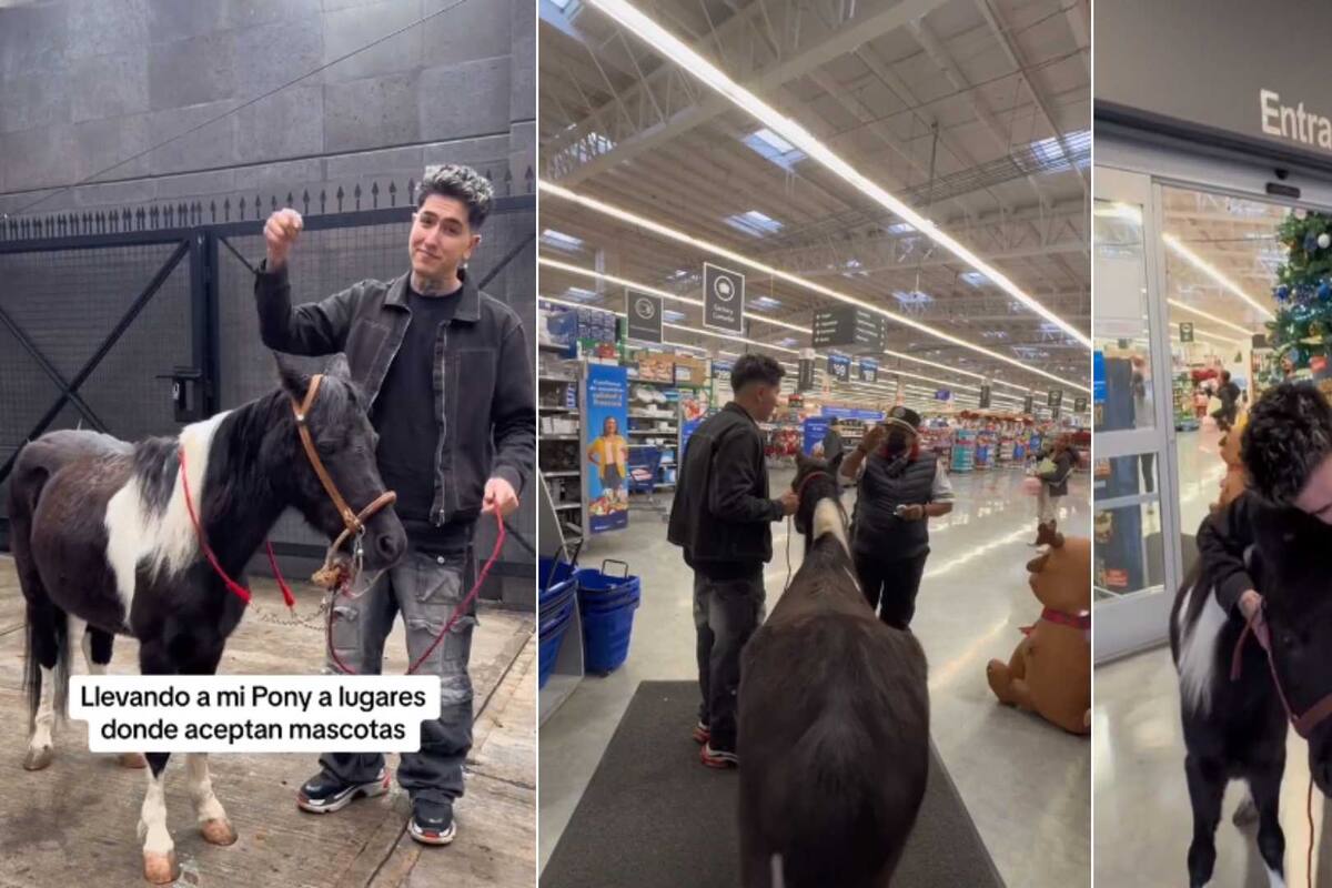 VIDEO: Joven y su pony son rechazados en lugares ‘pet friendly’