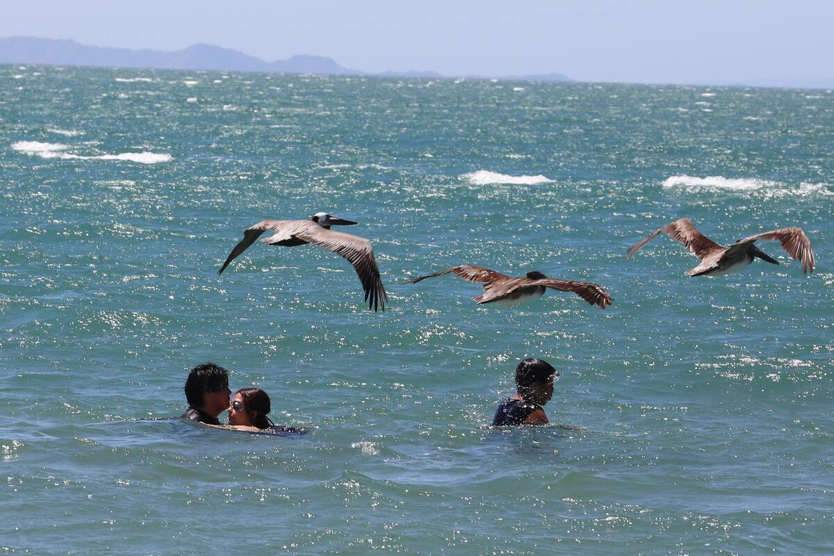 Bomberos recomiendan a bañistas no meterse “mucho” al mar