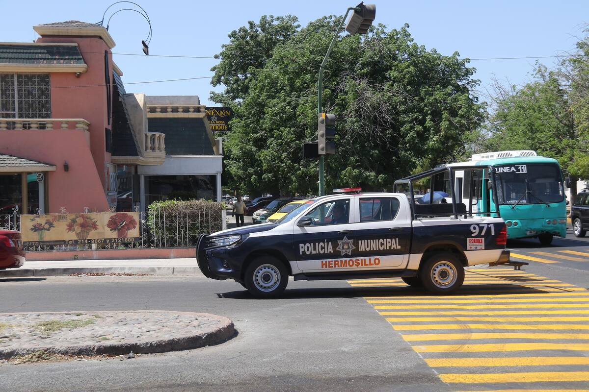 Entran ladrones a casa; se llevan rifles y pistola