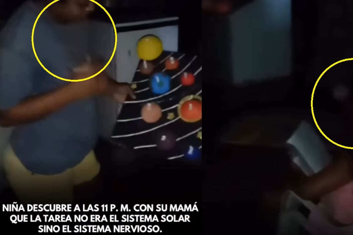 “No era del Sistema Solar, era del Sistema Nervioso”: niña corrige a su mamá a las 11 p. m. mientras hacen una maqueta escolar