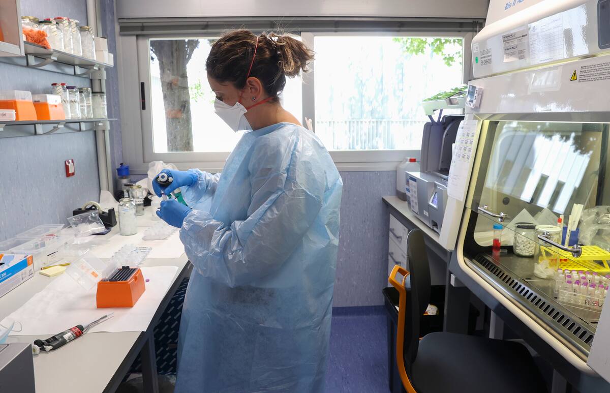 Imagen de archivo de un laboratorio. EFE/Kiko Huesca