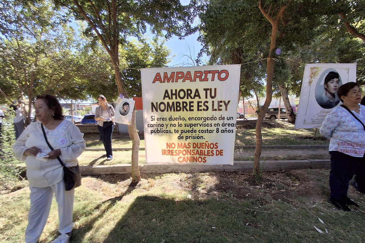 Transformamos el dolor en acción: hija de Amparito