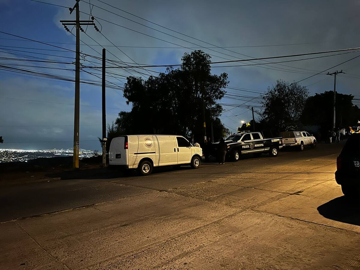 Foto: cortesía