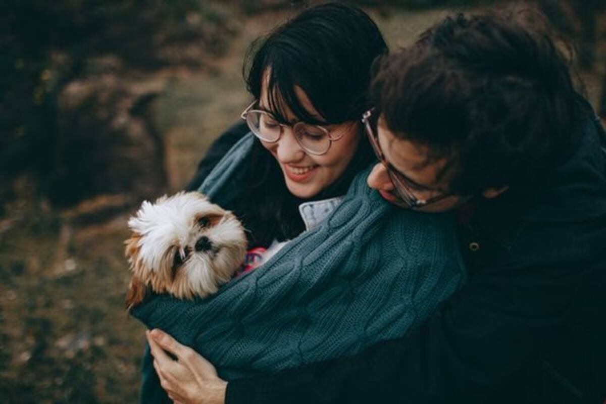 Tu relación podría terminar si no aceptas a la mascota de tu pareja