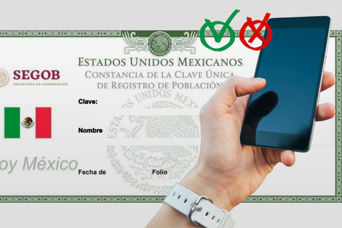 ¿Debes registrar tu celular con la CURP? Estas personas están obligadas y estas quedan exentas