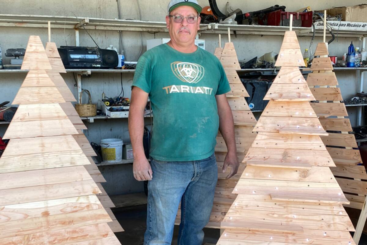 Hacen árboles navideños con material reciclado