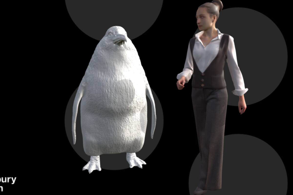 Descubren fósil de pingüino del tamaño de un humano