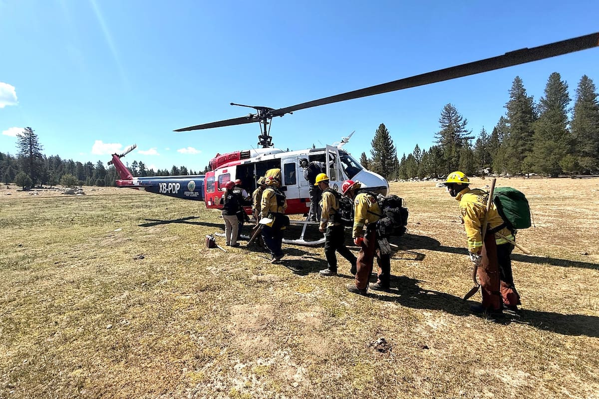 80 combatientes avanzan contra incendio forestal en San Pedro Mártir