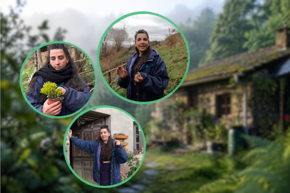 A los 32 años compró por cerca de 120 mil pesos una casa abandonada en medio del bosque para dejar la vida urbana, vivir aislada, producir su propia energía y adaptar su rutina al clima
