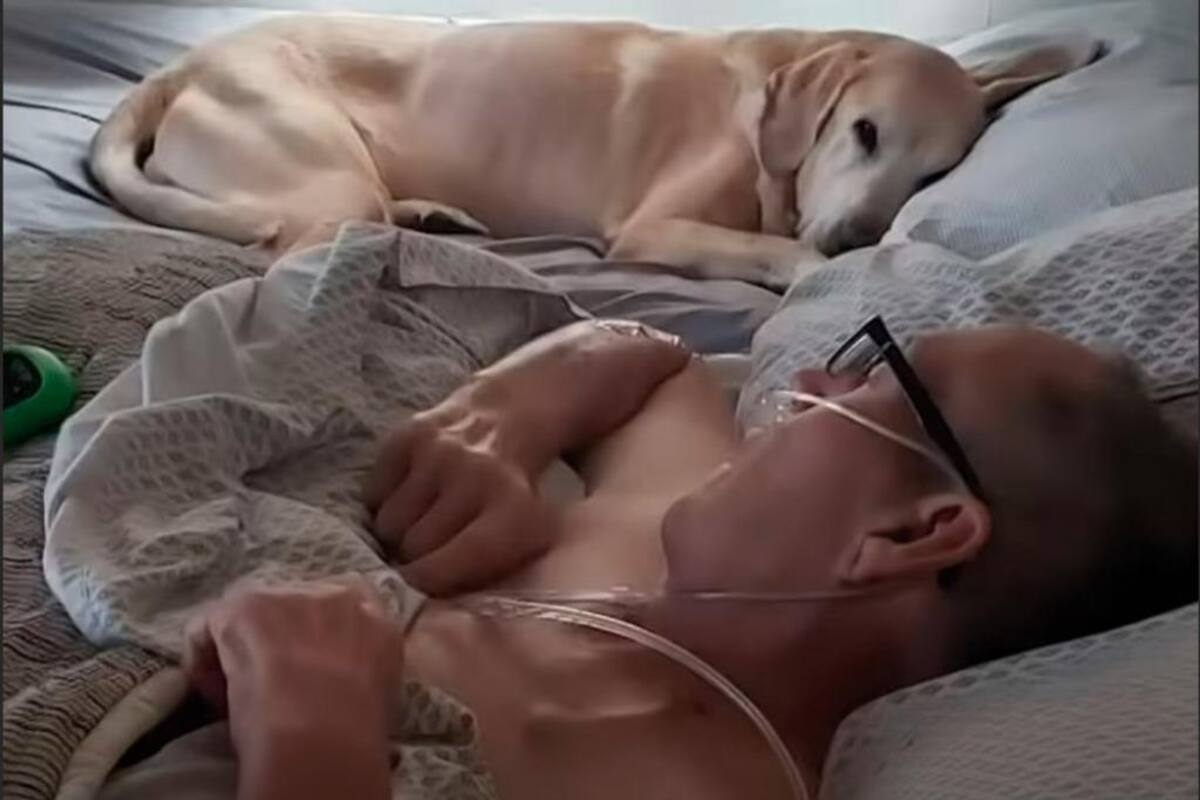 Perrito y su dueño mueren el mismo día; ambos enfermaron al mismo tiempo
