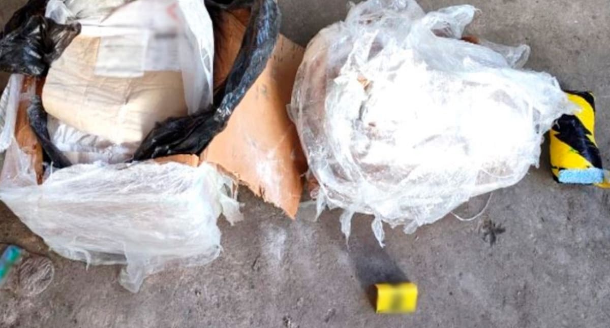 Fueron asegurados 76.28 kilos de cocaína.