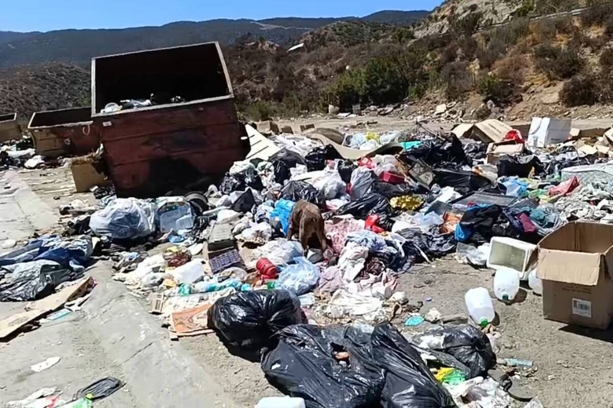 Contenedores de basura desbordados en Los Encinos