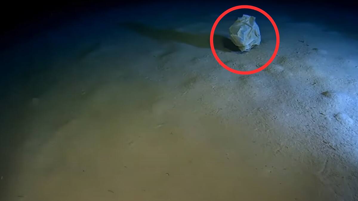¿Cómo llega la basura a los rincones más profundos del mar? El caso alarmante del Mediterráneo
