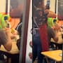 “Toda la familia traía pelucas, hasta el perrito”: Captan peculiar festejo de un lomito y se vuelven virales