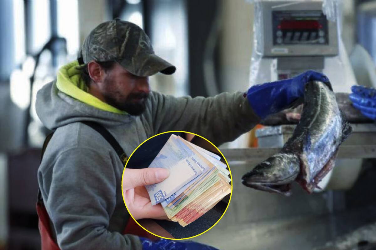 Mexicanos ganan más de medio millón de pesos trabajando solo 4 meses al año en este empleo: ¿De qué trata?