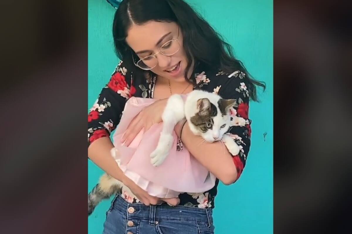 Festejan el cumpleaños 16 de una gatita, le hacen un vestido para la ocasión