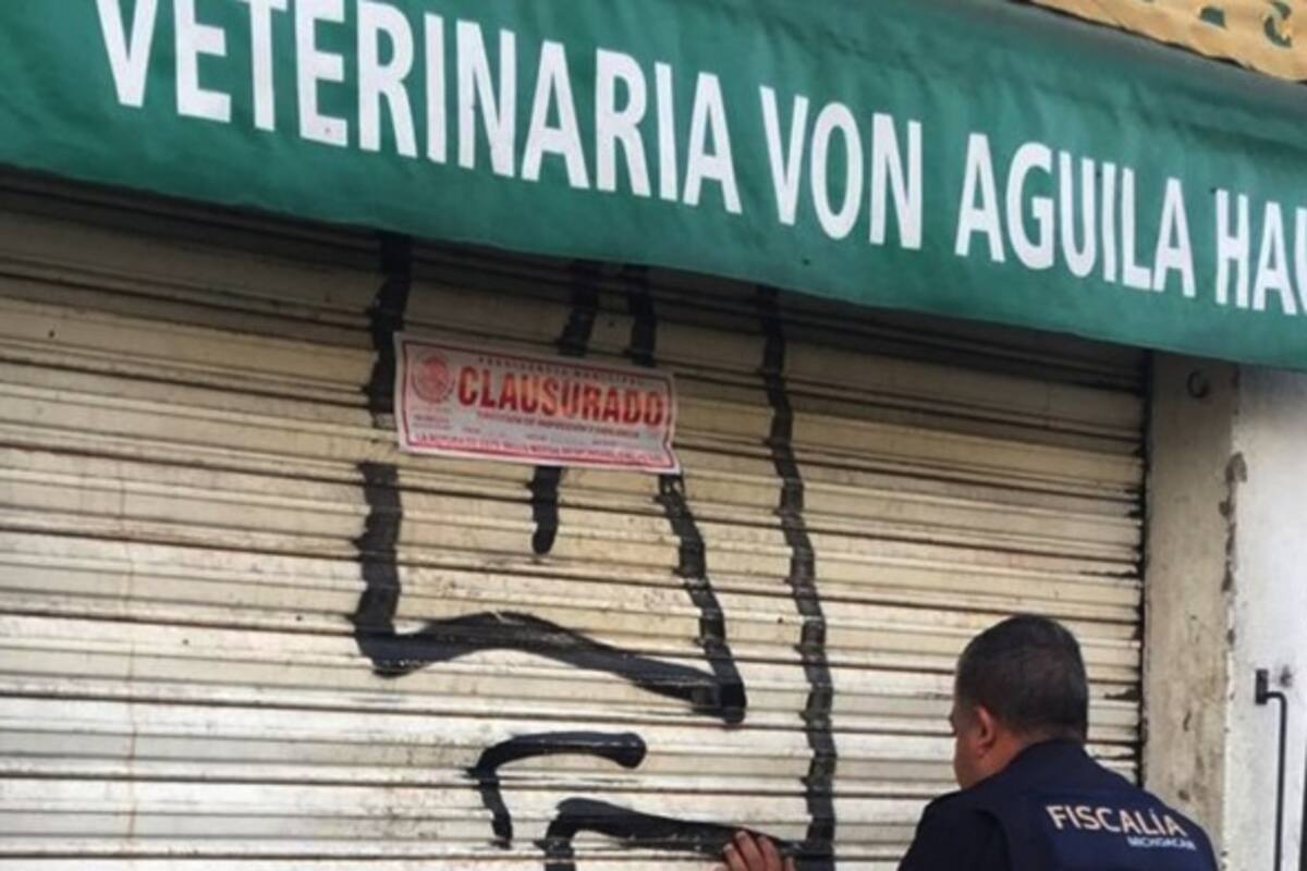 Claurua FGE veterinaria en Morelia acusada de maltrato animal