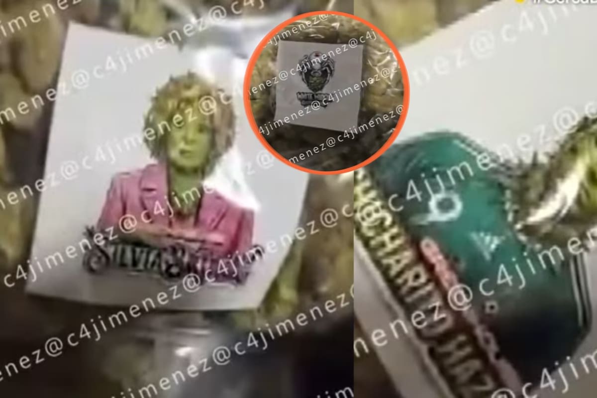 Estampas de Silvia Pinal y de Javier “Chicharito” Hernández servían como sello para identificar los paquetes de marihuana que una célula presuntamente ligada al CJNG almacenaba en un departamento rentado por Airbnb en la Condesa, CDMX