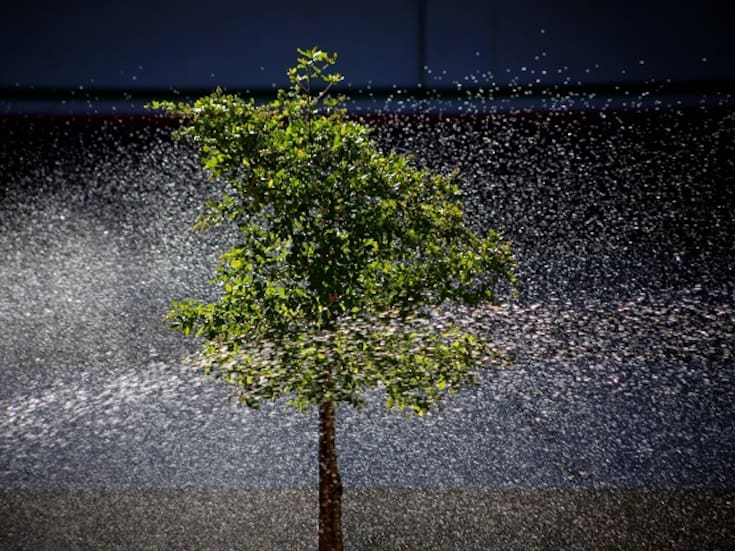 Mexicali tendrá miércoles soleado con máxima de 35 grados