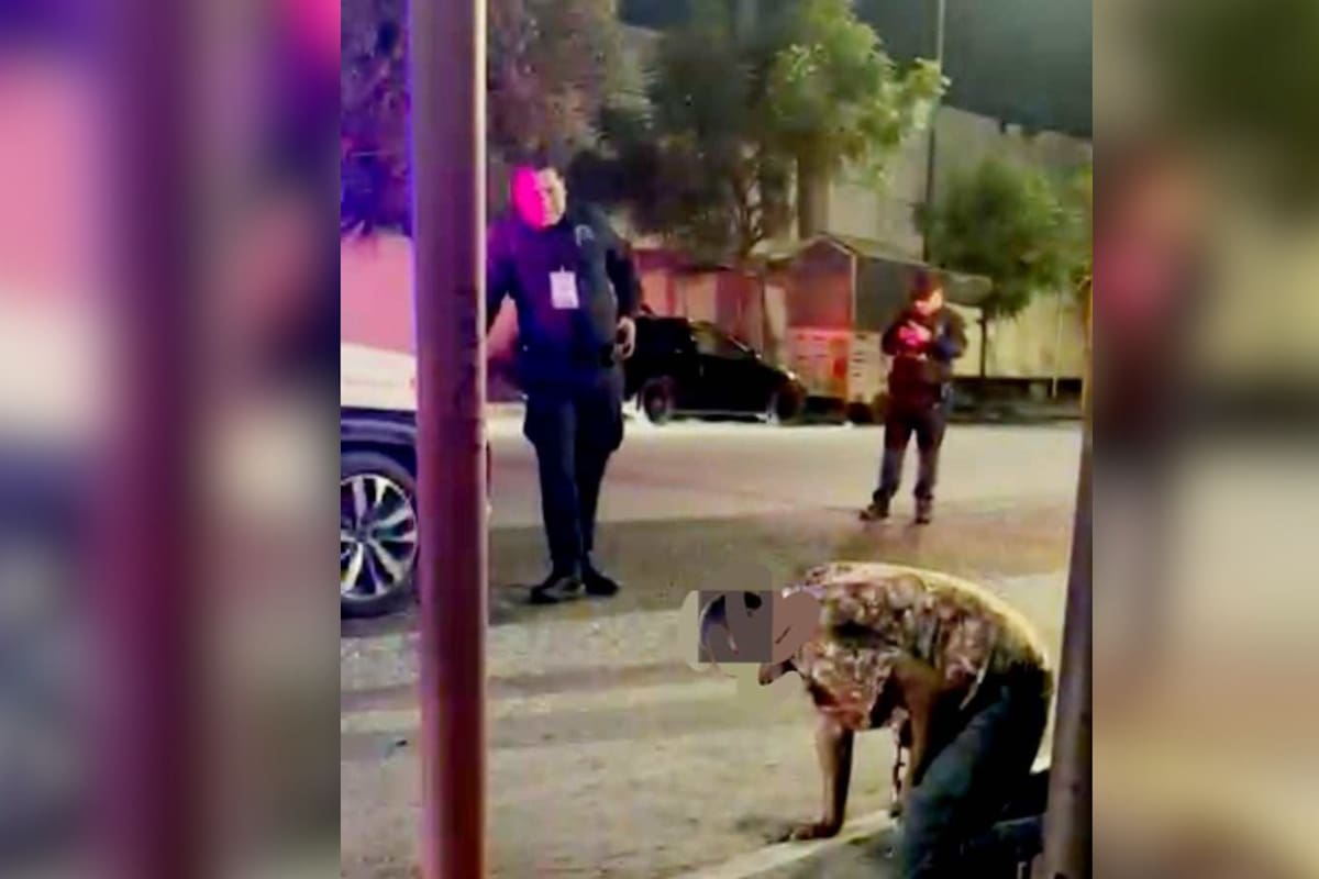 Policías salvan a hombre que intentó lastimarse con cuchillos en una parada de camiones