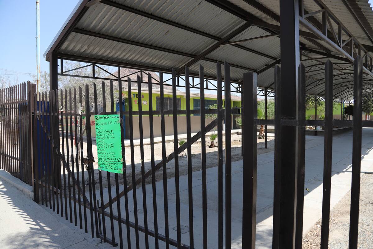 Maestros de Sección 37 suspendieron actividades