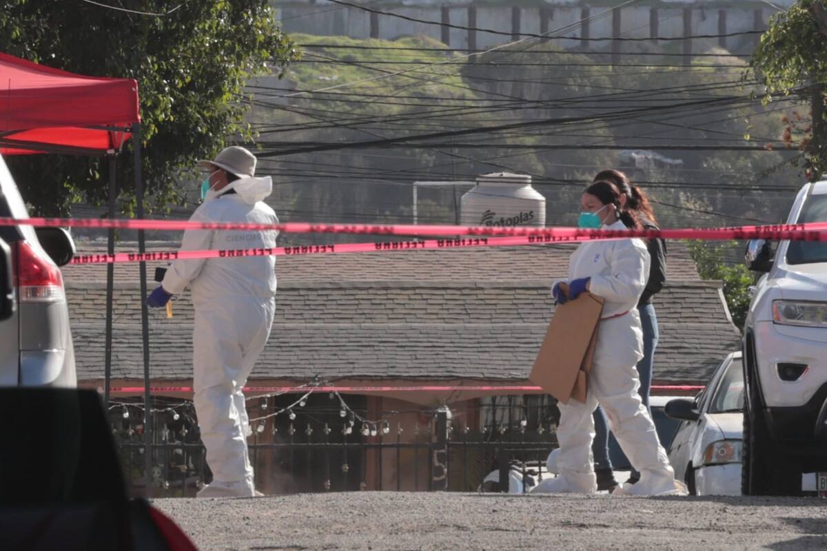 Foto: Sergio Ortiz