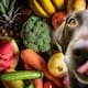 5 alimentos que tu perro NO debe comer y por qué pueden ser peligrosos para su salud